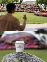花開無盡夏浪漫繡球花海