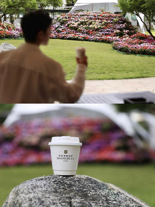 花開無盡夏浪漫繡球花海