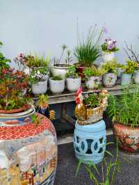 中山非遺文化免費荷花欣賞陶瓷手作溯源親子行