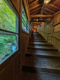 作並溫泉--鷹泉閣 岩松旅館