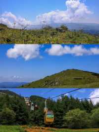 躲進22℃的秦嶺山居|端午出遊計劃