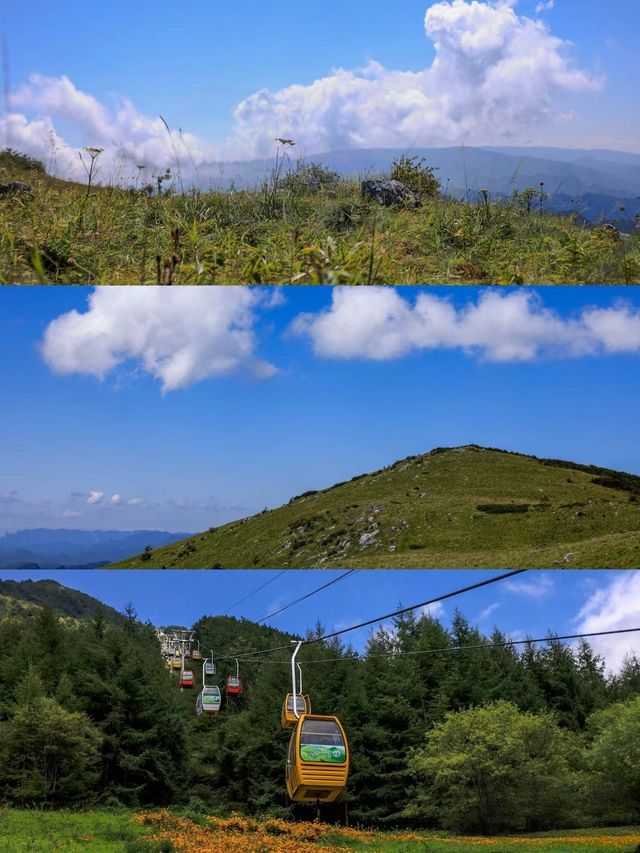 躲進22℃的秦嶺山居|端午出遊計劃