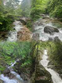森林氧吧—山清水秀的溫州最高峰—烏岩嶺攻略