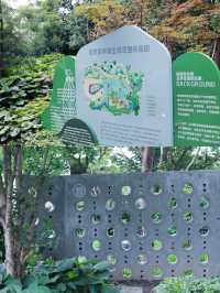 魔都親子友好商場搬來座沙沙島，快來免費挖沙