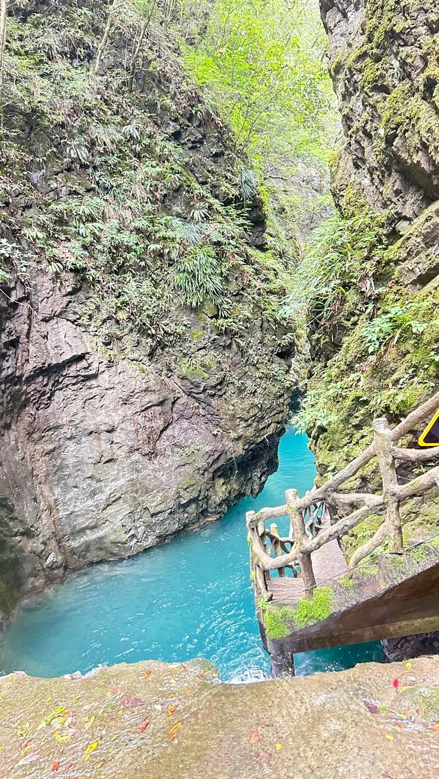 保康|90%湖北人都不知道的避暑勝地