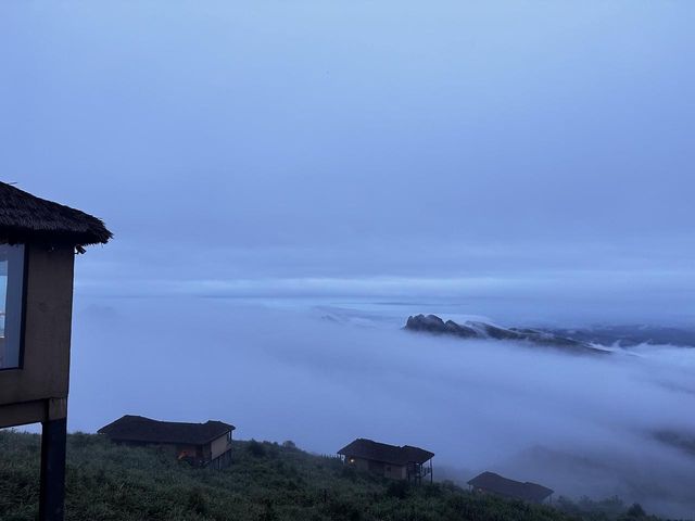 最偏遠的荒野VS最野奢的旅行，專屬於樸語的