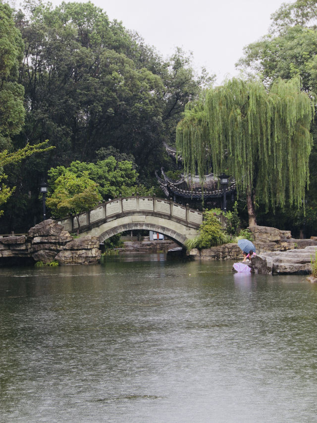 綿陽-這麼好看的公園你不宣傳，你糊塗啊！