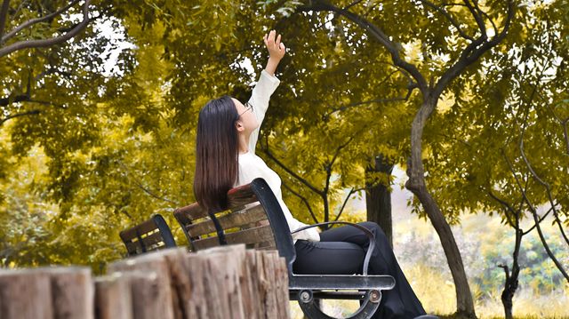 【超詳細！河北省園博園打卡攻略，帶你玩轉綠色仙境】