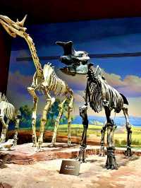 中國古動物館：穿越億年，邂逅地球遠古霸主！