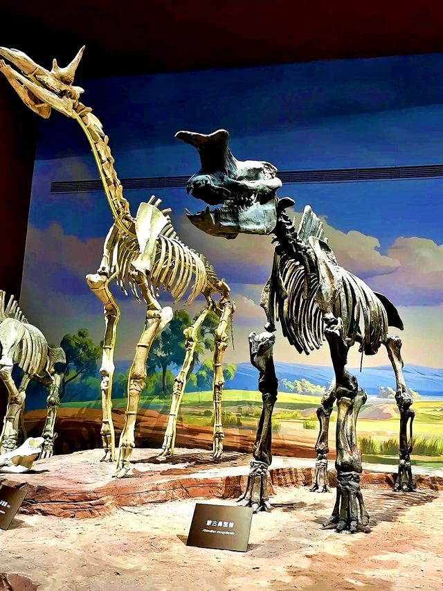 中國古動物館：穿越億年，邂逅地球遠古霸主！