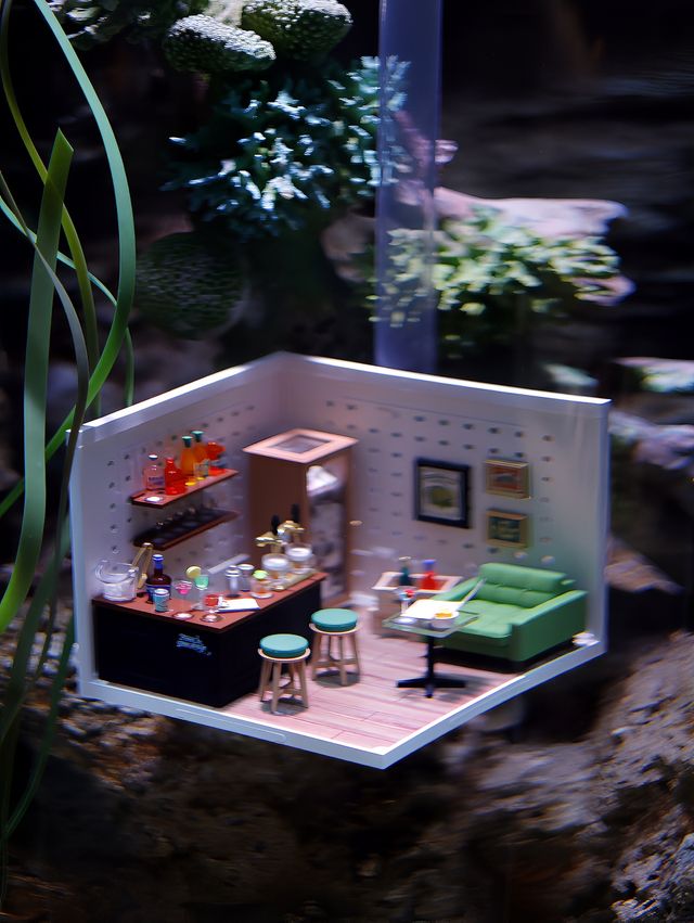 帶娃必去 | 長風海洋世界的“海馬酒店” 帶娃必去 | 長風海洋世界的“海馬酒店”