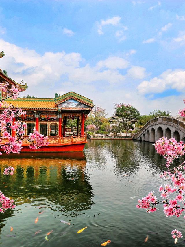 🌊 Guangzhou's Splash-tastic Adventures! 🎢