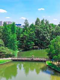 後悔才來長沙被嚴重低估的小眾吸氧公園