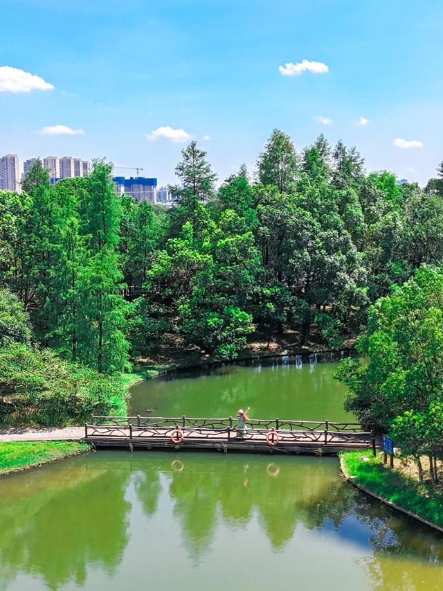 後悔才來長沙被嚴重低估的小眾吸氧公園