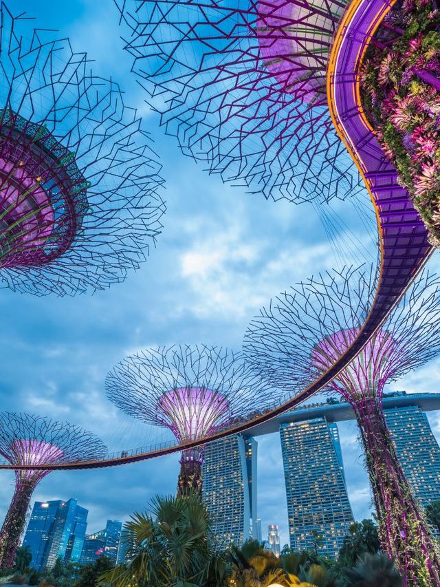 🌟 Singapore's Spectacular Sights: Must-Visits 🌿🏙️