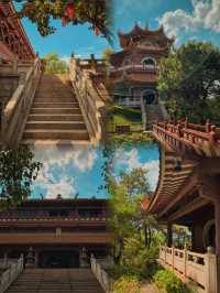 佛山三水森林公園｜免費感受天然氧吧