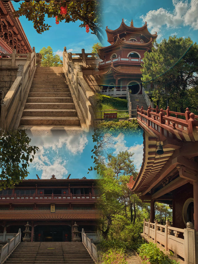 佛山三水森林公園｜免費感受天然氧吧