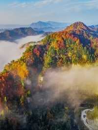 黎坪美景