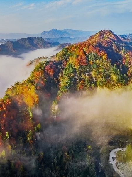 黎坪美景