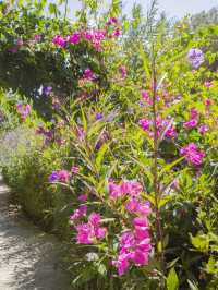 🌟 "Yalikavak's Hidden Gem: Serene Views & Romance" 🌟