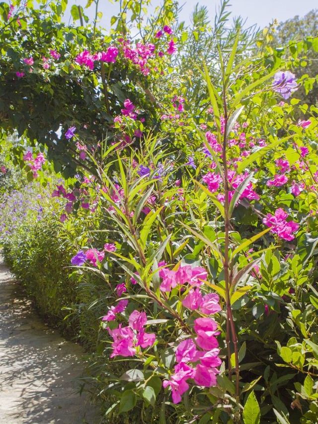 🌟 "Yalikavak's Hidden Gem: Serene Views & Romance" 🌟