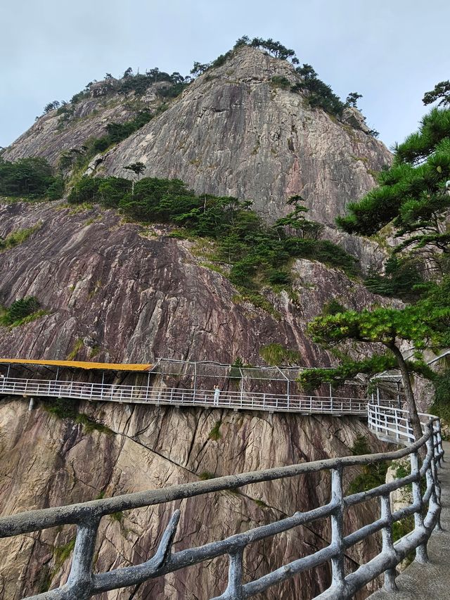 明堂山主峰海拔1563米，位於長江和淮河兩大流域的分水嶺。景區內提供的特色項目有「步步驚心」高空體驗。