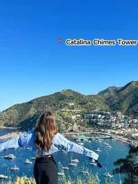 Catalina island is LA is Mesmerizing❤️🥰✨