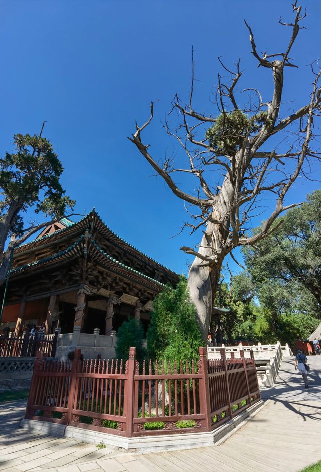 山西晋祠。
