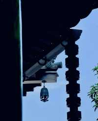 魔都最美寺廟|寶山淨寺，夢迴大唐。