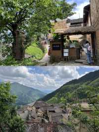 承包松陽古村雲海!700米山谷間的原舍揽樹。