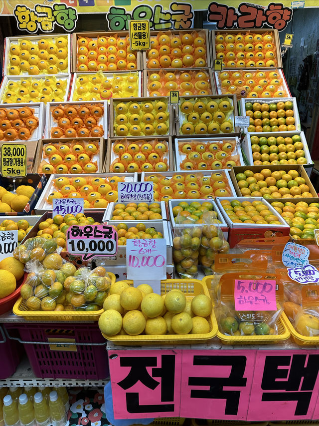 多彩濟州。