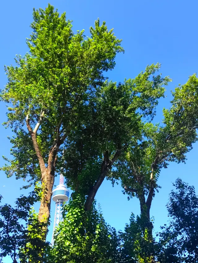 ถนนซินหมิน