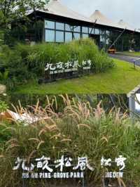 安吉九畝松風  享野奢自然之旅！