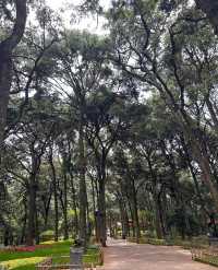 雲南昆明鳴鳳山金殿風景區丨體驗「衝冠一怒為紅顏」的心情。