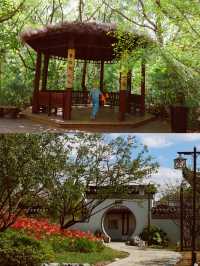魔都最懂浪漫的公園。