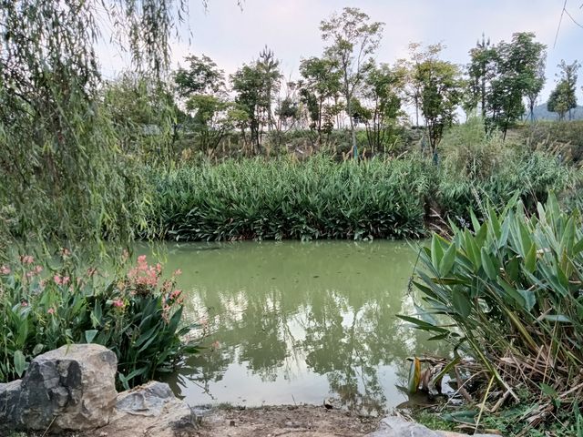 水西會客廳。