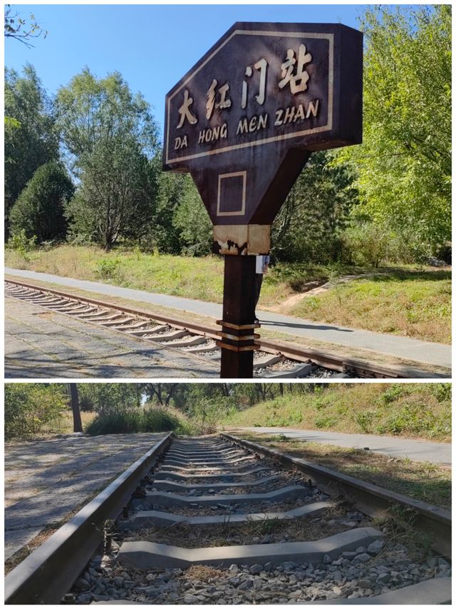 南囿秋風·南苑森林濕地公園。