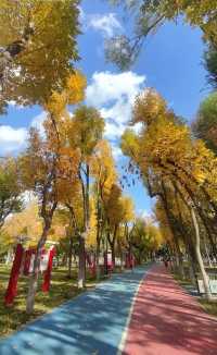 紅山公園。