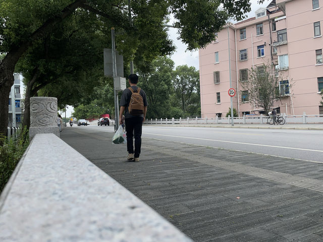 探訪楓涇古鎮：水鄉詩意與細雨交織的慢時光。