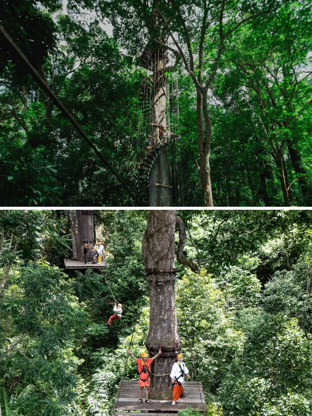 普吉島旅行必體驗之叢林飛躍！三大叢林飛躍該怎麼選？建議收藏！。