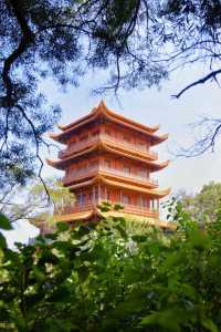 梵天寺·廈門旅遊千萬別錯過這個宮廷寺。