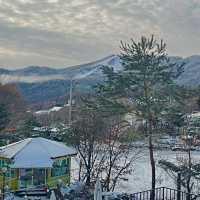 강원도 평창 휘닉스 파크 뷰 근처 가성비 숙소 🏠