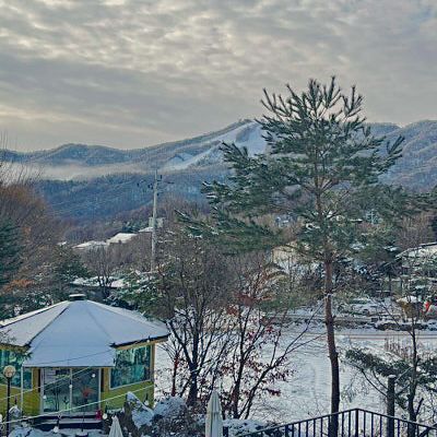 강원도 평창 휘닉스 파크 뷰 근처 가성비 숙소 🏠