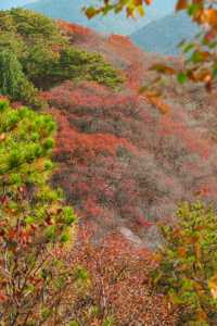 北京金海湖 | 一半山川一半湖海，快去美瘋了！。