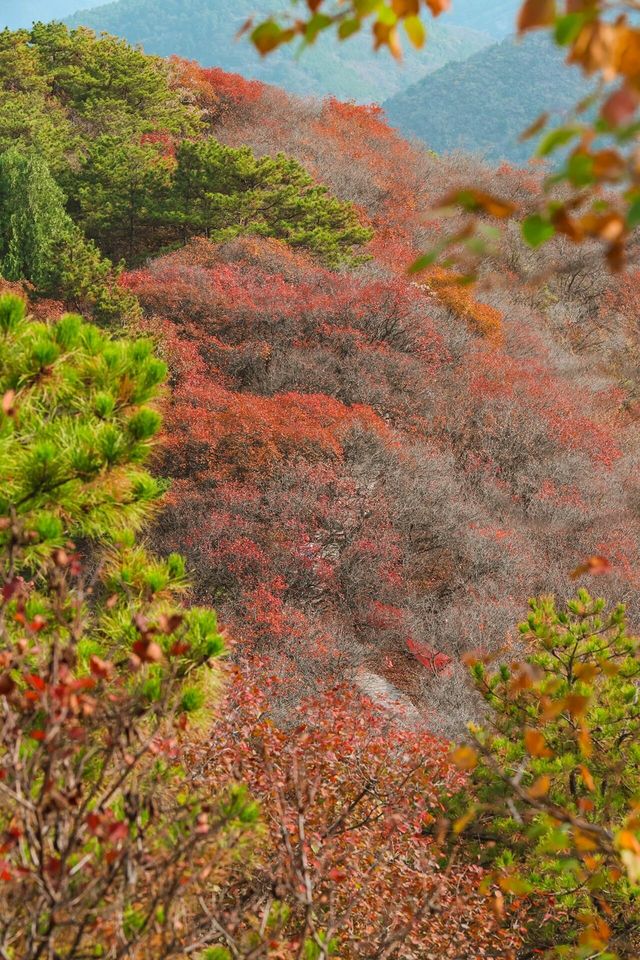 北京金海湖 | 一半山川一半湖海，快去美瘋了！。