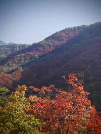 大紅寨登山賞紅葉觀賞路線與拍攝技巧全攻略。