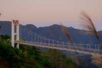開車兩小時也要看的夕陽，在這座茶山。