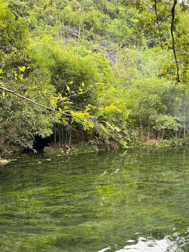 全州龍井村｜自然風光。