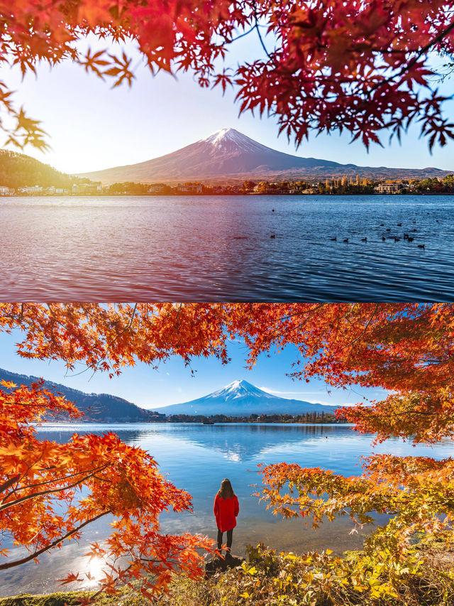 10-12月又是一年日本秋冬賞楓季。
