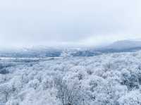 北大湖滑雪度假區 冰雪盛宴高山霧凇。